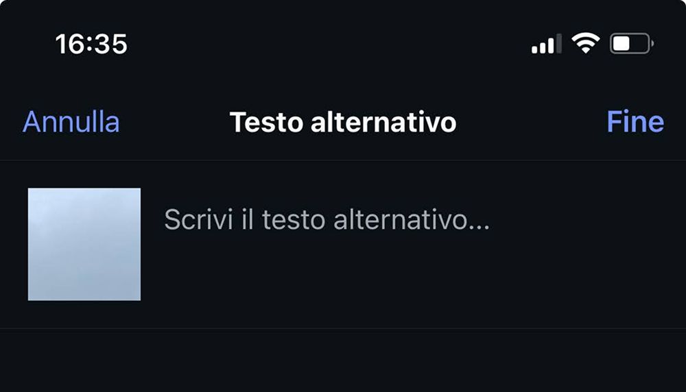 Alt Text immagine ig